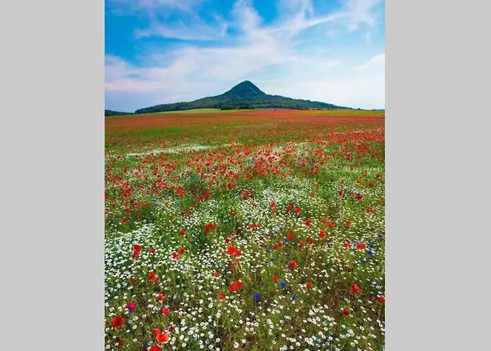 Szerelmes Tunderlak *